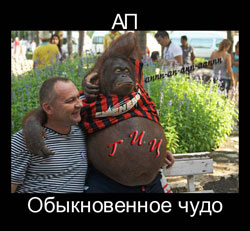 Муж на час Муж на час